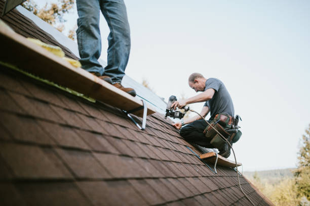 Roof Gutter Cleaning in East Washington, PA